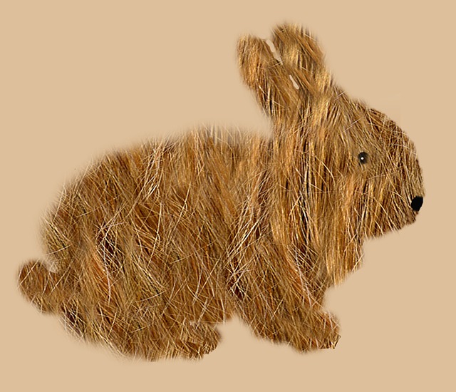 Free rabbit rodent rabbits illustration