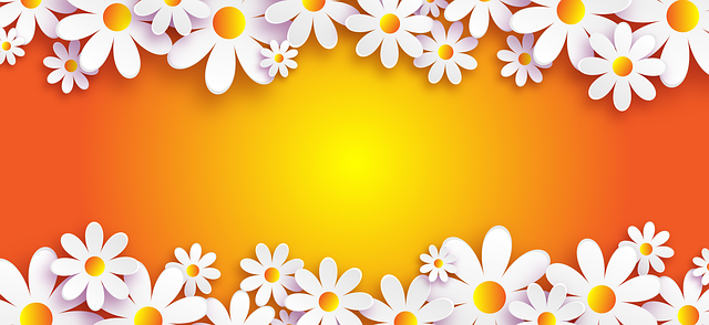 Free flowers chamomile symbol illustration