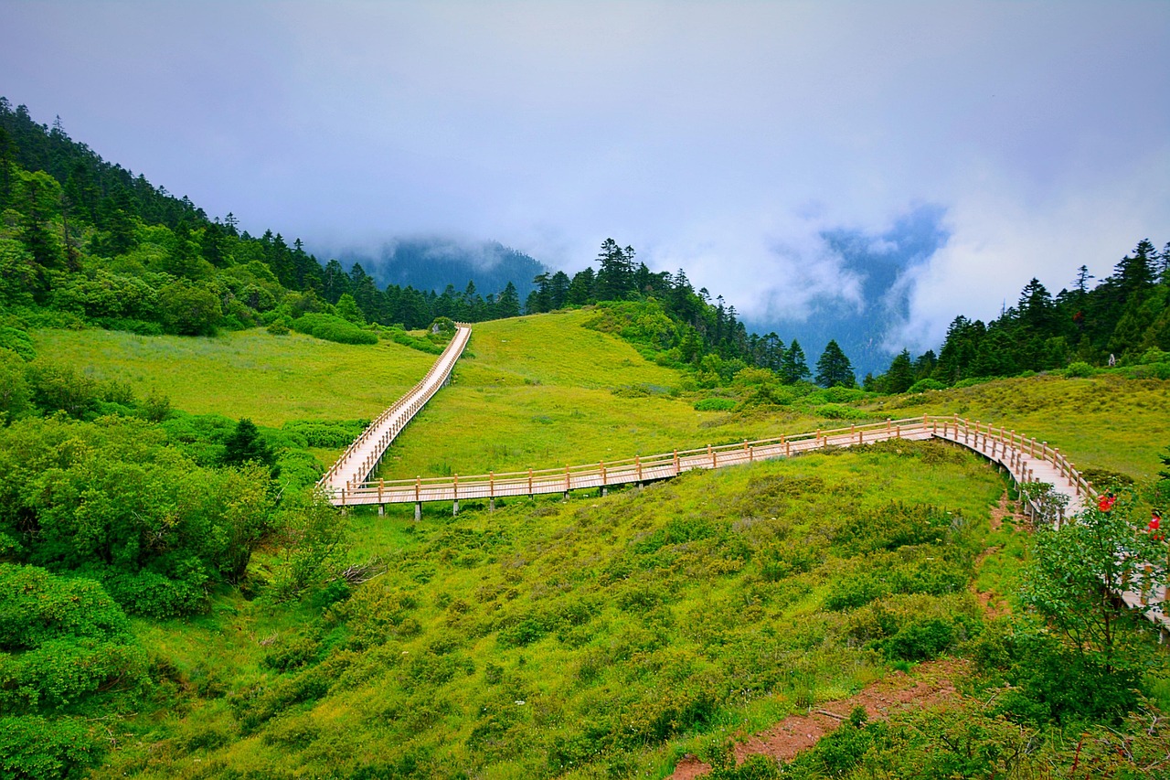 超过 70 张关于“栈道”和“木栈道”的免费图片 - Pixabay