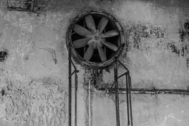 abandoned, ruin, factory, old, dilapidated, disintegration, building, architecture, decay, expired, abandoned places, old factory, old building, stone wall, left place, hall, weathered, the atmosphere, grim, house, black-and-white, window, house facade, wall, glass, facade window, monochrome, basement, cellar, lost places, mystical, mood, to forget, dark, underground, pforphoto, masonry, given up, past, neglected, light, broken, factory building, old factory building, transience, ailing, the shade, fans, ventilation, abandoned building, horror, dilapidated, shabby, gruesome, rust, finiteness