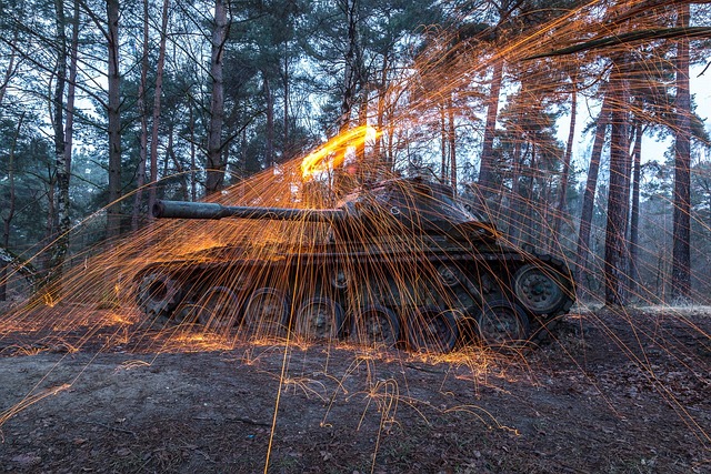 Free Tank Werwildert photo and picture