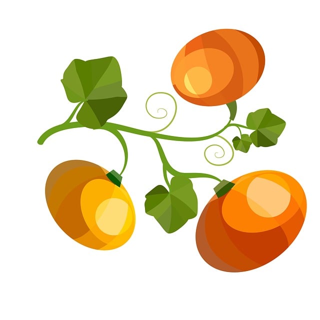 Free Pumpkin Leaves illustration and picture