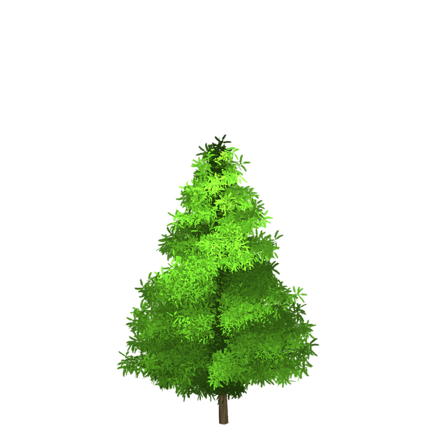 Free spruce tree green illustration