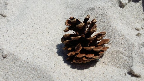 Sand, Strand, Kegle, Natur