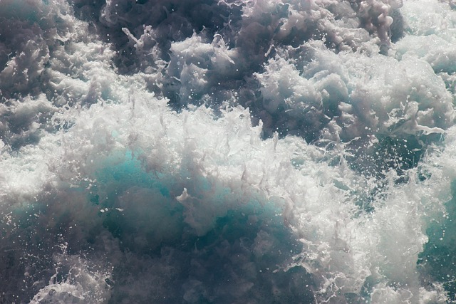 Free Ocean Sea photo and picture
