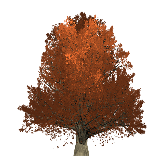 Download free HD stock image of Oak Tree Free oak tree painted tree illustration