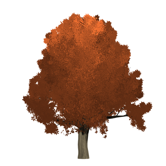 Download free HD stock image of Oak Tree Free oak tree painted tree illustration