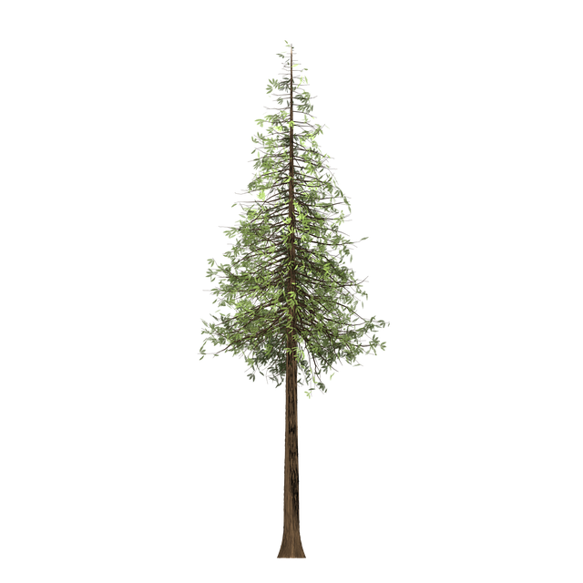 Download Redwood, Tree, Painted Tree. RoyaltyFree Stock Illustration
