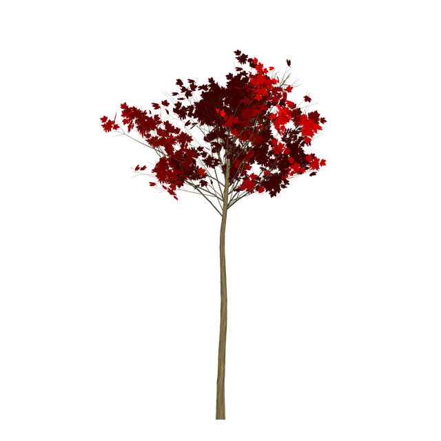 Download Maple, Tree, Painted Tree. RoyaltyFree Stock Illustration