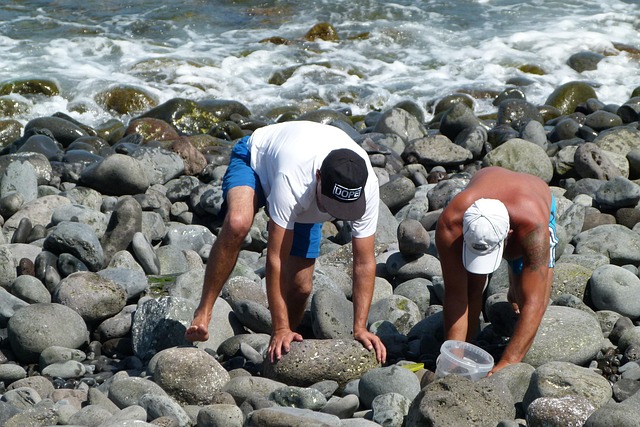 Free Oysters Visitors Men photo and picture