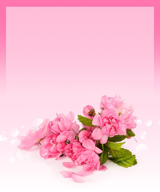 Free card cherry background illustration