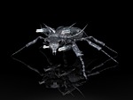 beetle, we make noise, exotic insect