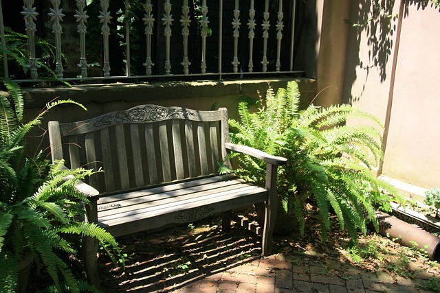 Free Bench Garden photo and picture