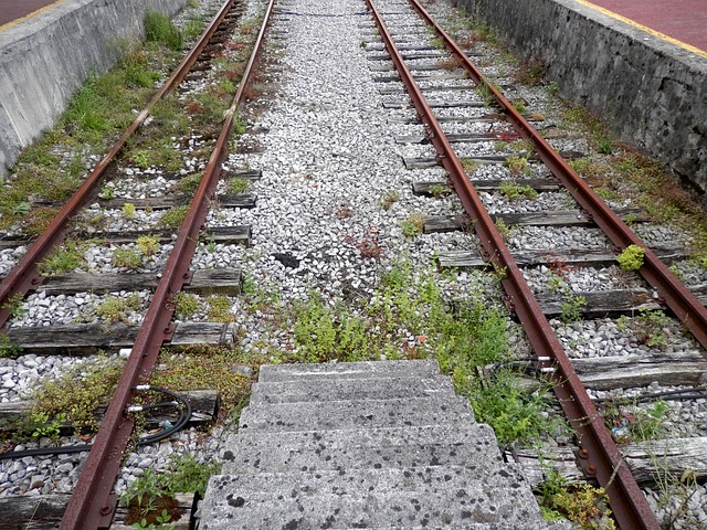 Free Rails Train photo and picture