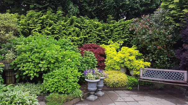 Free Garden Bench photo and picture