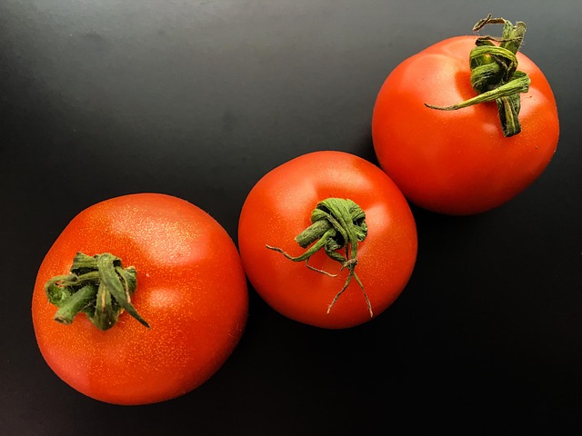 Free Tomato Fruit photo and picture