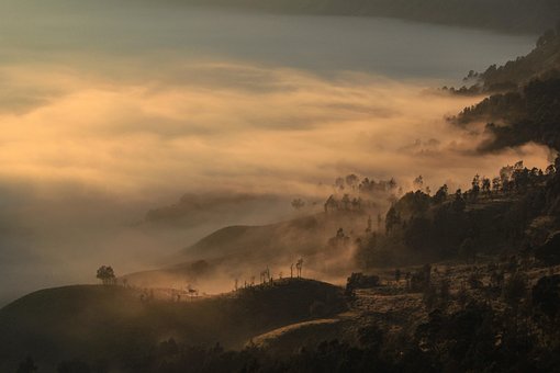 Free Morning Dawn photo and picture