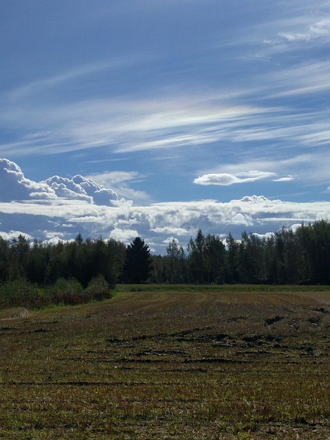 Free Cloud Sky photo and picture