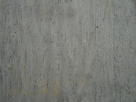 Free Wood Moldy photo and picture