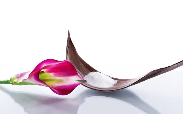 Free wellness blossom bloom illustration