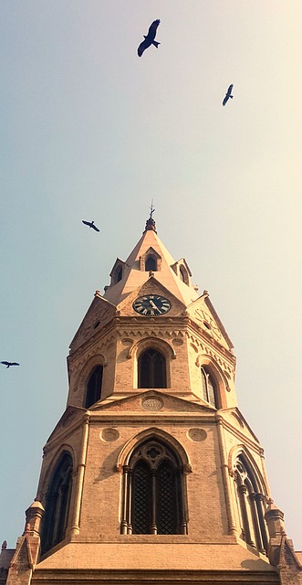 Government college lahore, gcu, government college university and gcu lahore — photo by hallucinogenizer