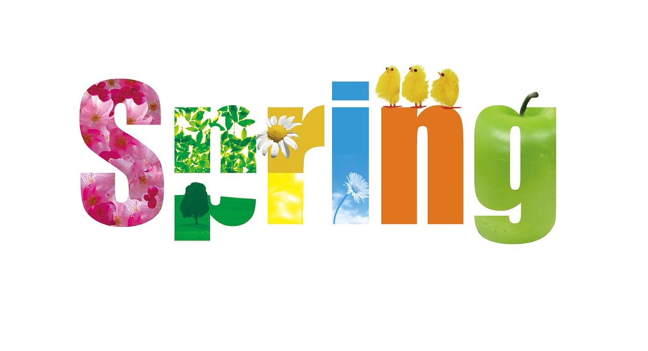 300,000 + 무료 Pastel-Colored Spring & Spring 이미지 - Pixabay