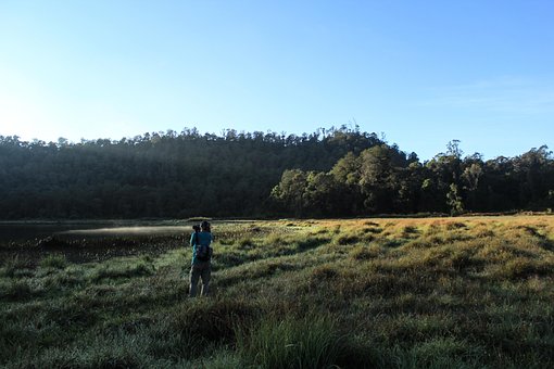 Free Travel Forest photo and picture