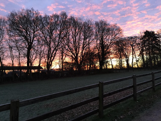 Twilight, Natur, Winter, Himmel