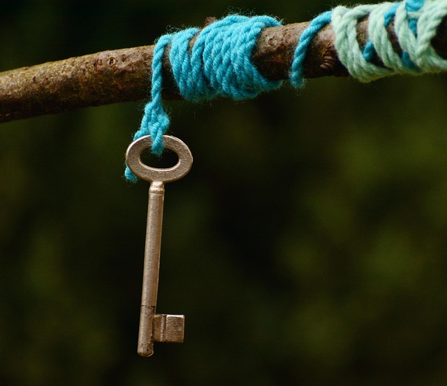 Free Key Cord photo and picture