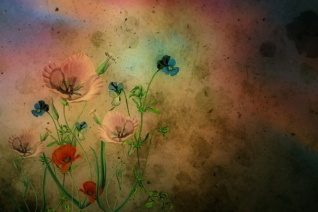 Free texture background blossoms illustration