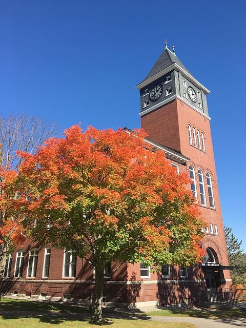 Himmel, Baum, Herbst, Sonnenschein