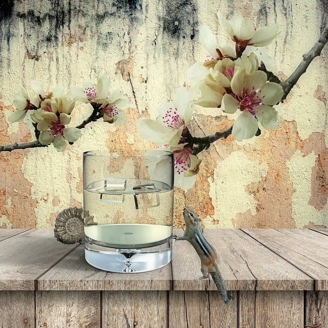 Free texture background still life illustration