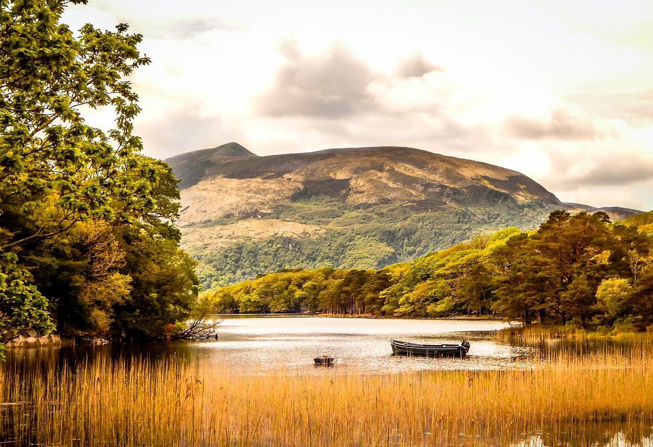 Lake - free online jigsaw puzzle photo