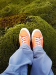 lava field, moss field, iceland