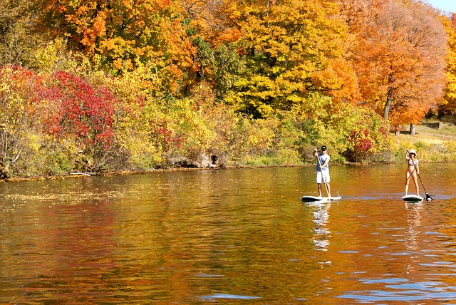 Free Stand Up Paddle Sup photo and picture