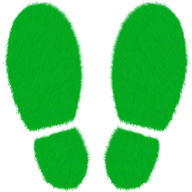Free green lawn grass illustration