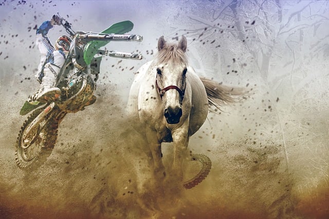 Free horse nature motorbike illustration