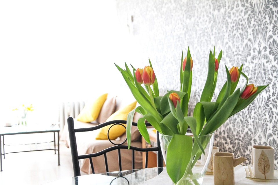 Apartment Flowers Tulips Free photo on Pixabay
