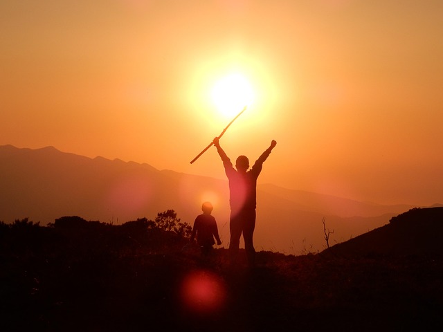 Free Shade Sun photo and picture