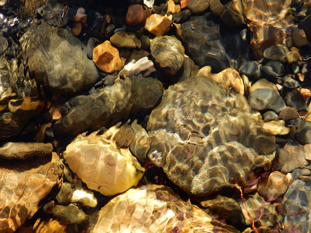 Free Stones River photo and picture