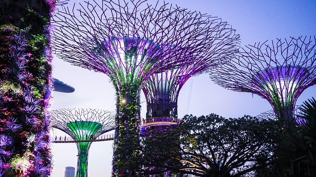 Singapur, Zahrady U Zátoky, Barvitý