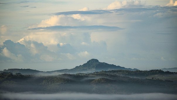 공동 명의 차량 파산 신고6