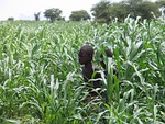 africa, african landscape, mali