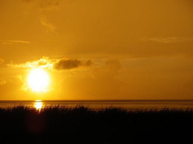 Free Sunset Nature photo and picture