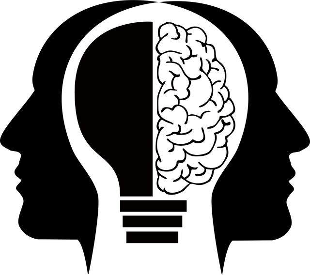 Free cranium head human vector