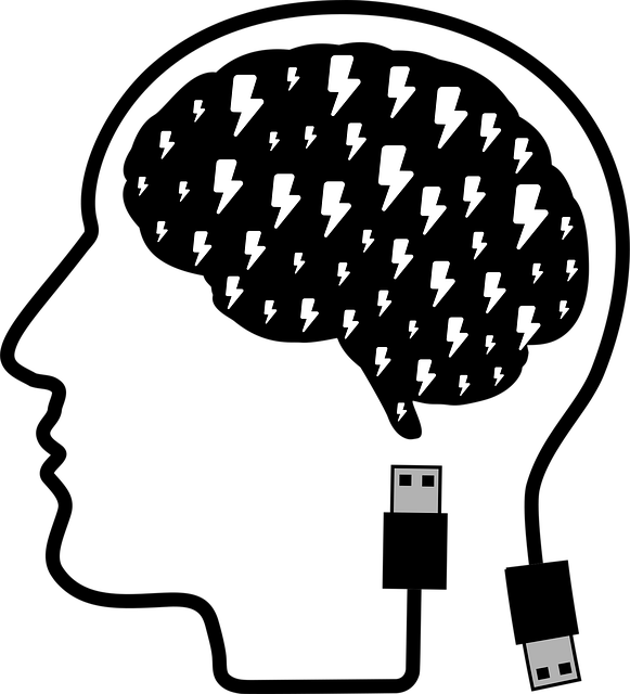 Free cranium head human illustration