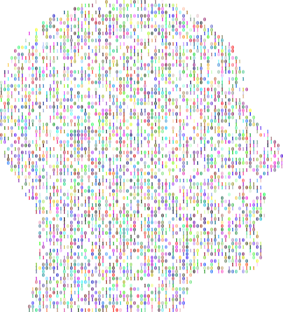 Free cranium head human vector