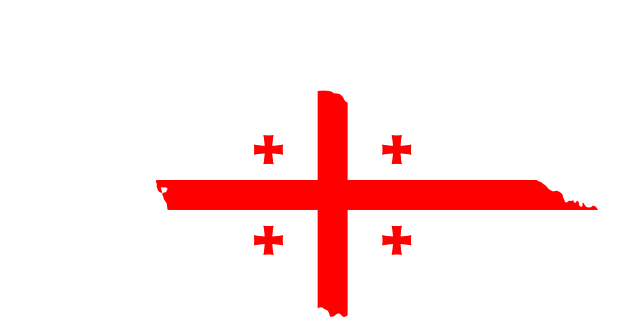Free borders country flag vector