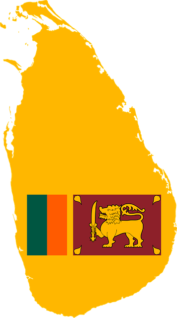 Free borders country flag vector