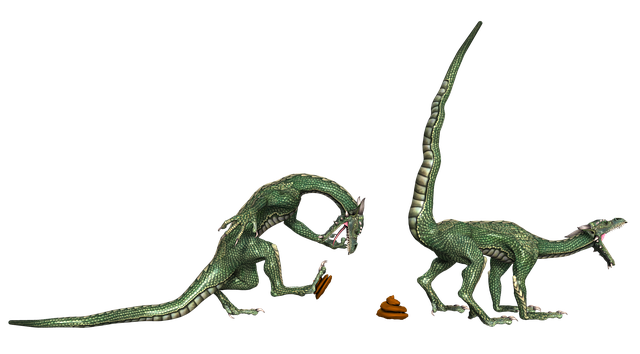 Free dragon fantasy fairytale illustration